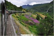 норвегия фьорды железная дорога