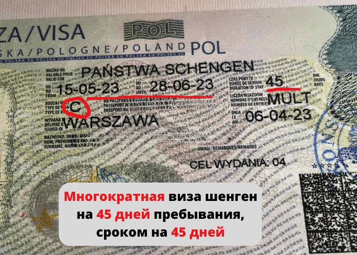 Многократная виза шенген на месяц